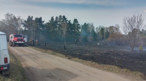 В национальном парке «Шушенский бор» оперативно ликвидирован пожар